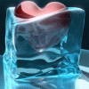 Red's avatar
