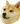 :doge: